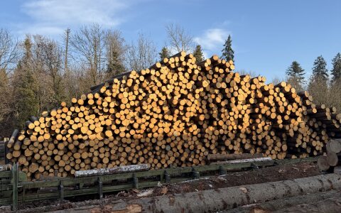Einblicke bei Dahinden